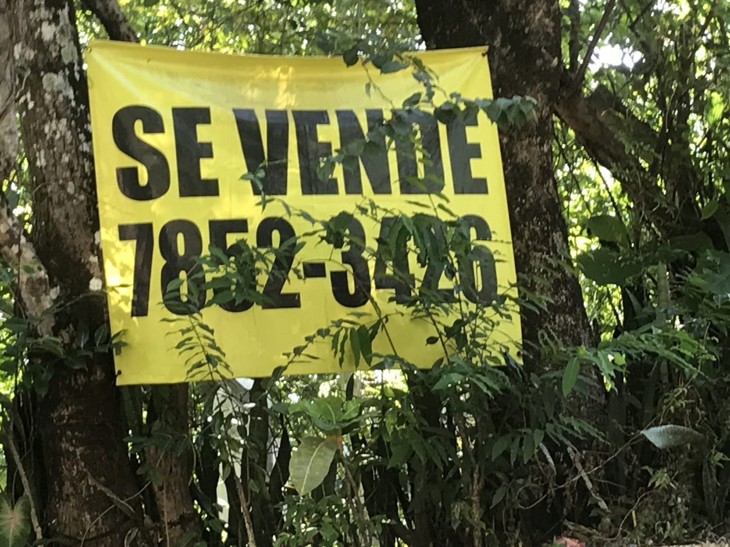 The Challenges of Buying Property & Real Estate In El Salvador