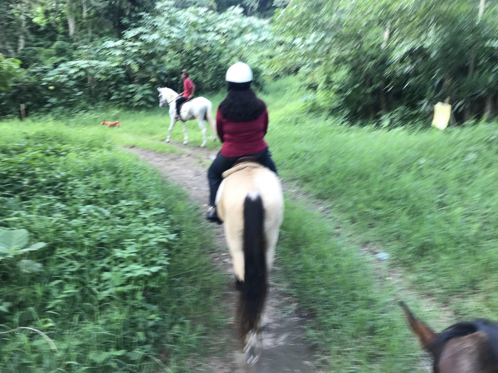 Photo of Horseback Riding in El Salvador