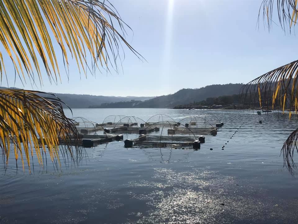 El Salvador Tilapia Fish Farm