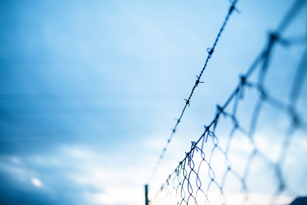 Barbed Wire