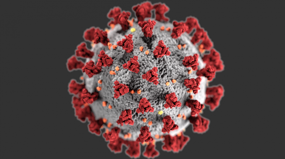 Coronavirus Just Arrived in El Salvador