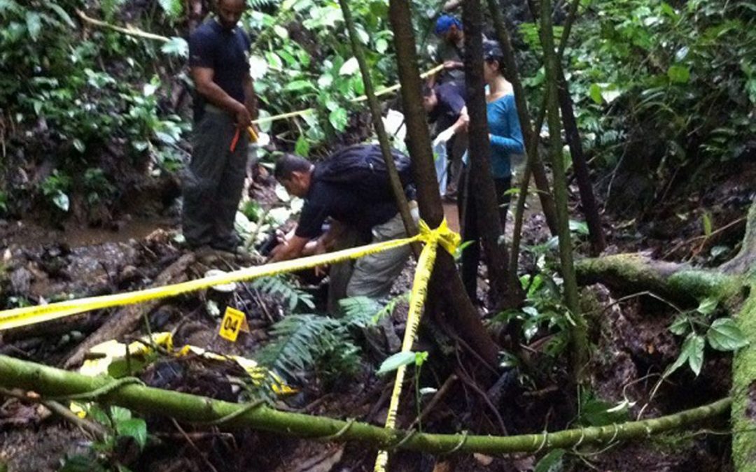 Remains of Alaskan Backpacker Found In Costa Rica Jungle