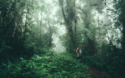 Nobody Walks Off-Trail Into The Jungle Wearing Shorts