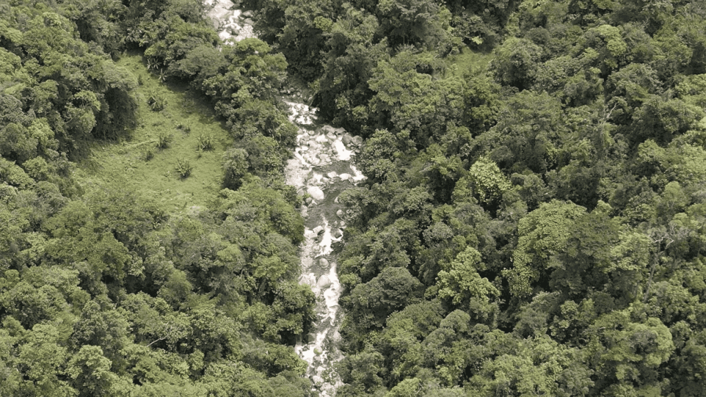 Panama Expedition - Culebra Serpent River