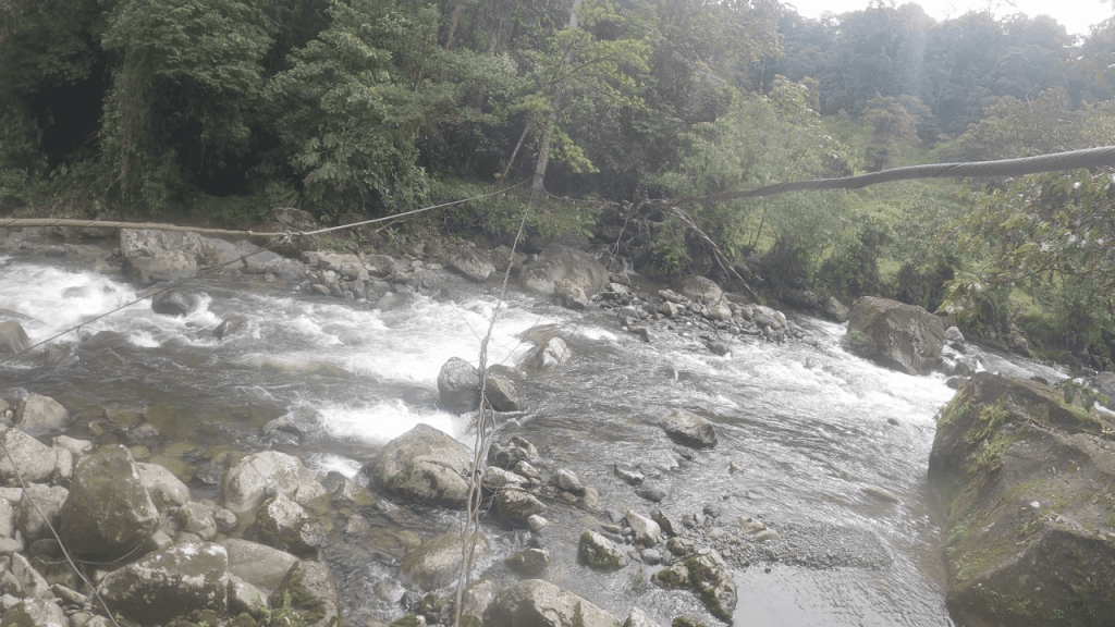 Panama Expedition - Monkey Bridge Serpent River