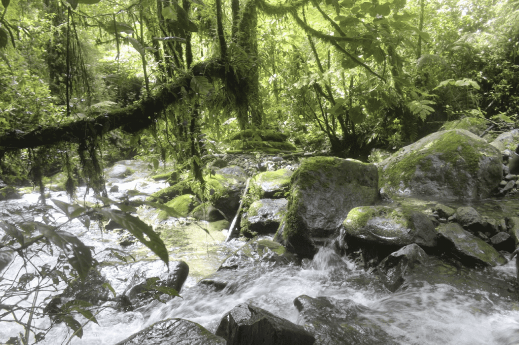 Panama Expedition - Culebra River