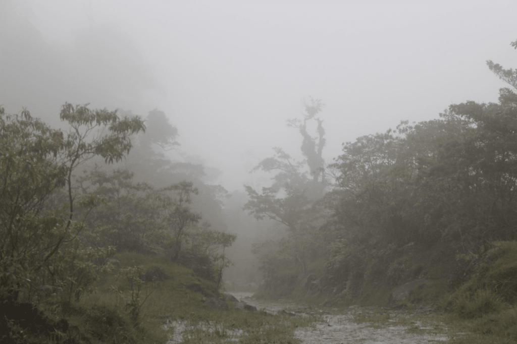 Panama Expedition - El Pianista Trail Boquete