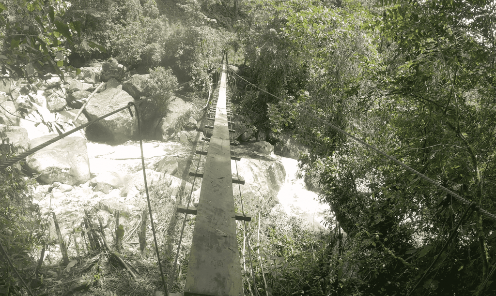 Panama Expedition - First Monkey Bridge