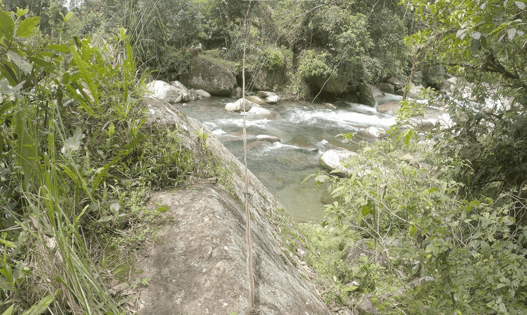 Panama Expedition - Third Monkey Bridge