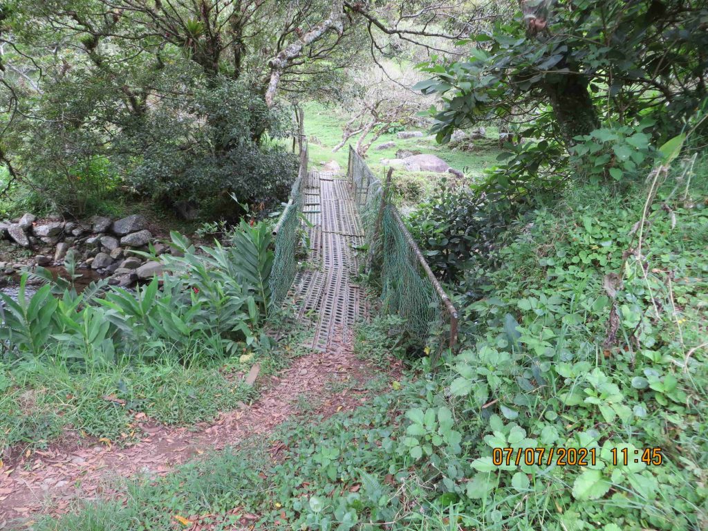 Panama Expedition - Bridge El Pianista