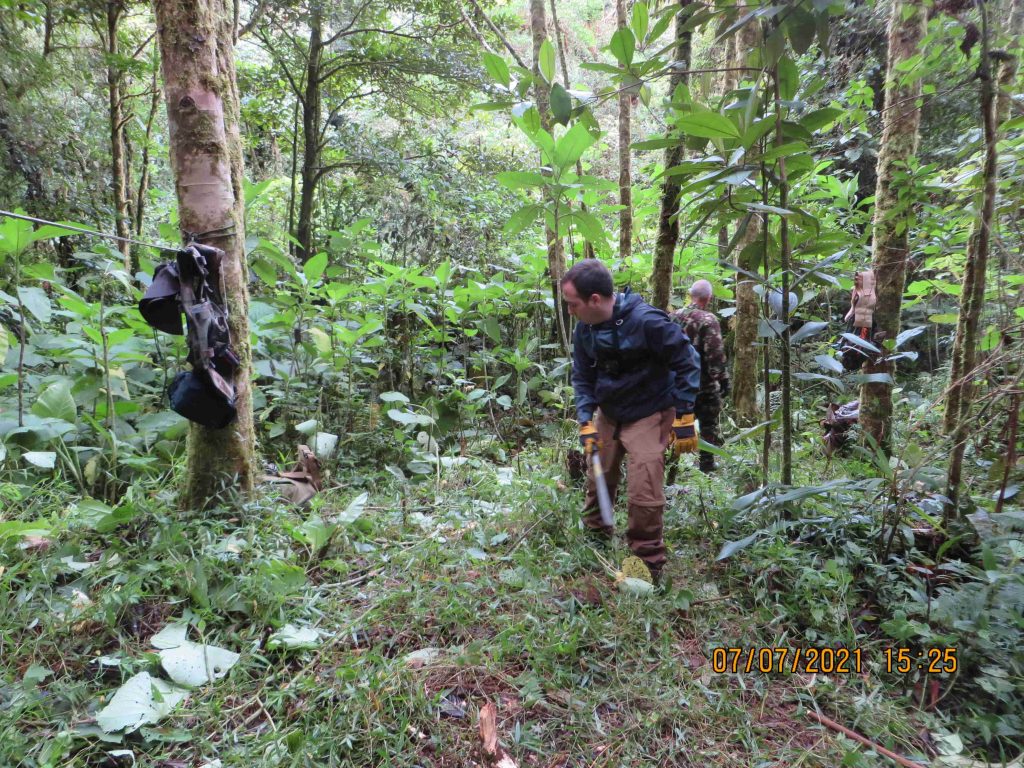 Panama Expedition - Camp Site 1