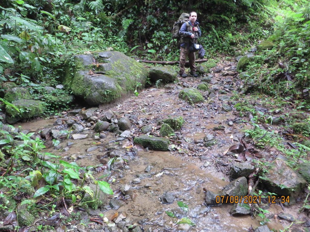 Panama Expedition - El Pianista River