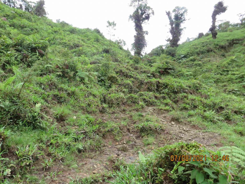 Panama Expedition - El Pianista Mountain