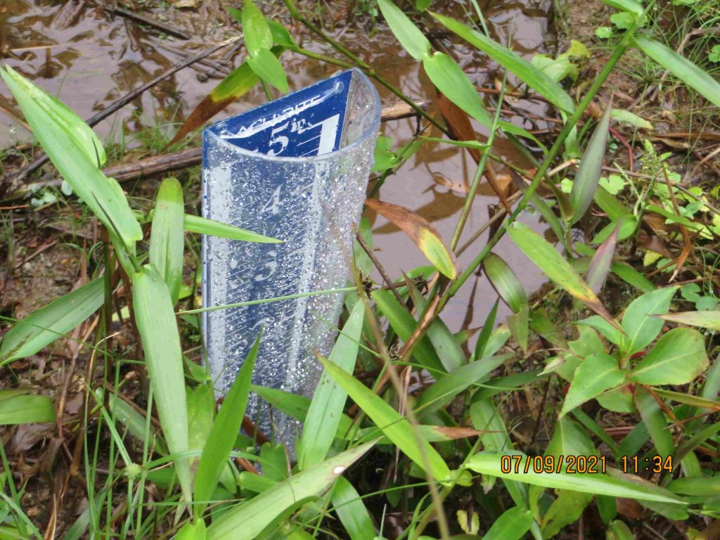 Panama Expedition - Rainfall El Pianista