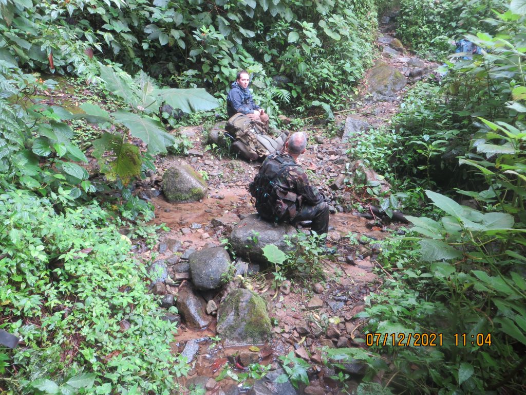 El Pianista Panama - Landslide and Small River