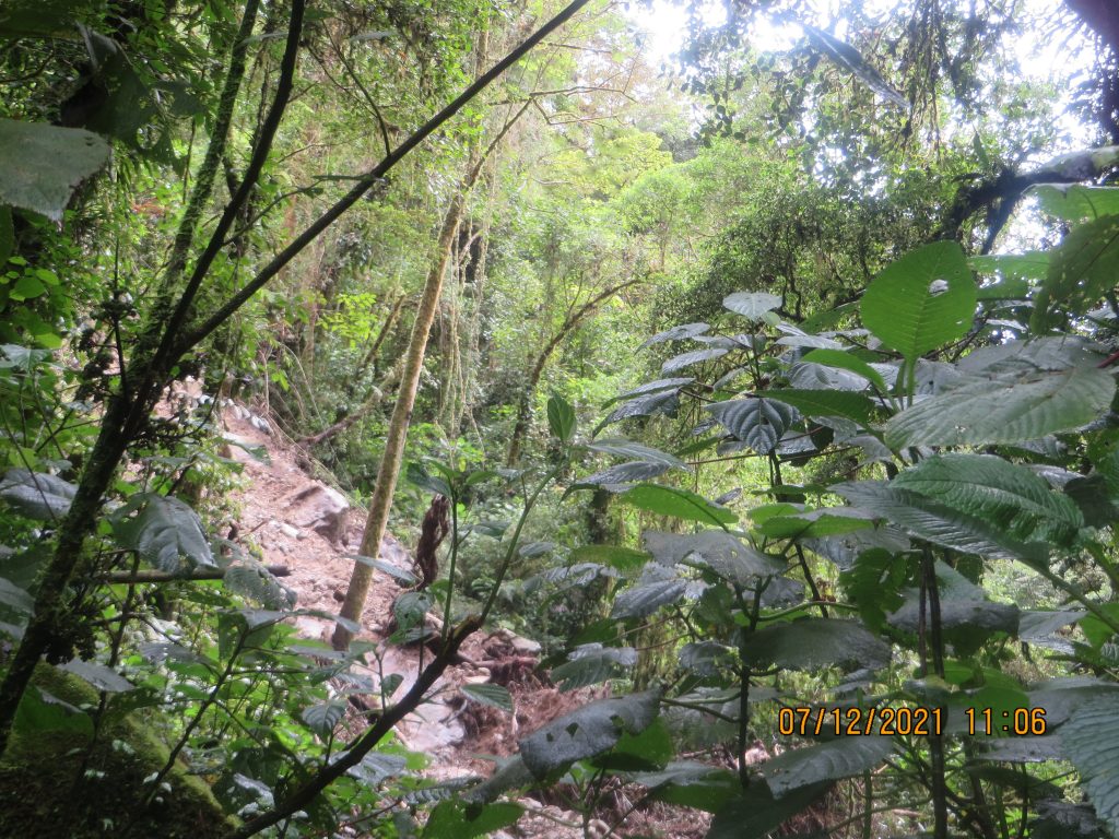 Panama El Pianista Landslide River