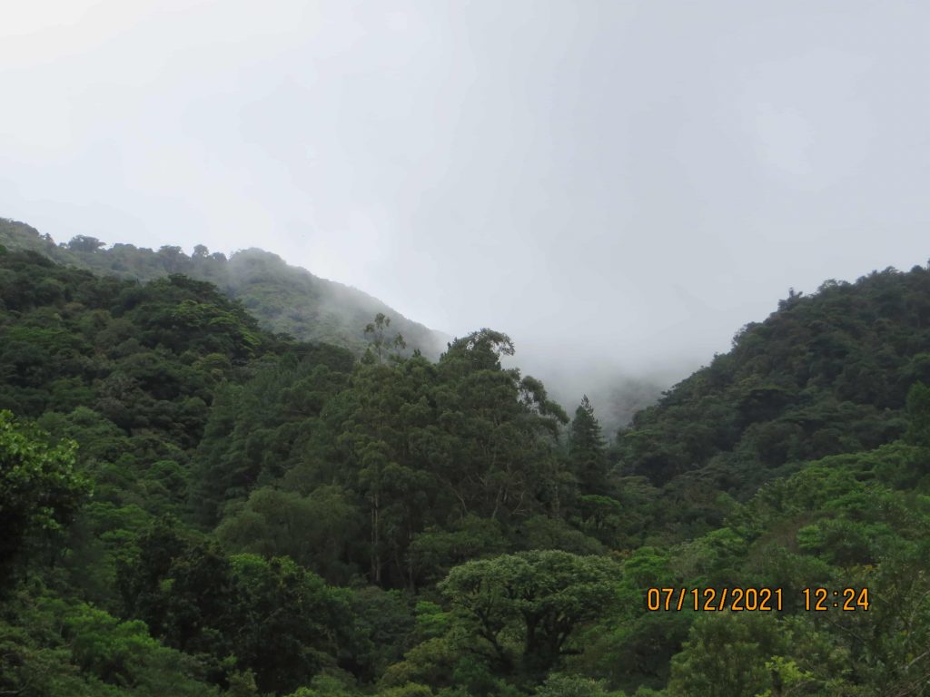 Panama Expedition - El Pianista Mountains
